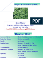 Cultivation Techniques & Economics of Mint, Spearmint, Jasmine