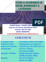 Geranium-Lavender-Rosemary