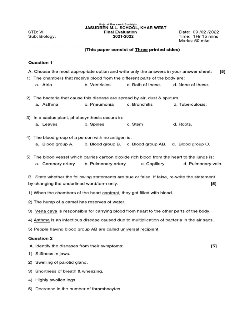 Grade 6 Biology Exam | PDF | Heart | Vein
