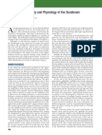 Anatomy Duodenum