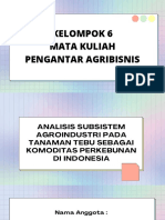 Kelompok 6 - PPT - Pengantar Aribisnis