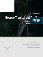 Bosque Tropical del Pacífico Informe