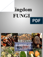 FUNGI