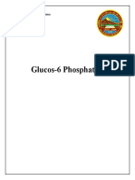 Glucos-6 Phosphate: Regional Government of Kurdistan University of Salahaddin Department of Biology