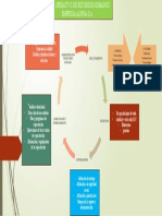 Ciclo Operativo de Auditoria