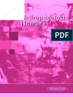 Neuropsicologia Humana 1 Edición