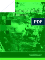 Neuropsicologia Humana 2 Edición