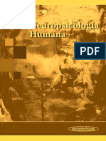 Neuropsicologia Humana 8 Edición