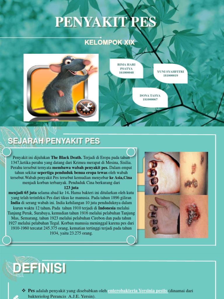 PEST PPT-dikonversi | PDF