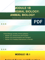 MODULE 1B Organismal Biology-Animal Biology