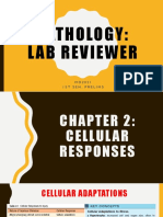 1P Patho Lab Reviewer