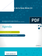 Seminario Taller Guía Alicia 2020