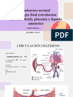 Circulacion Fetal. Placenta, L.amniotico