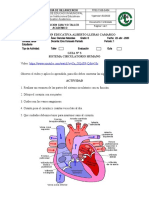 SISTEMA CIRCULATORIO HUMANO