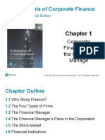 FIN200 Chapter 1 Slides