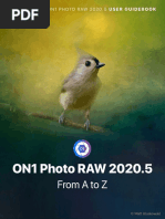 ON1 Photo RAW 2020 5 User Guide