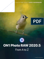 ON1 Photo RAW 2020 5 User Guide