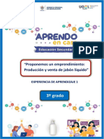 3º Experiencia de Aprendizaje #1