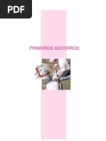 Cfaq-e 2 Primeiros Socorros