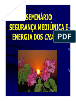 Seminário Segurança Mediúnica e Energia Dos Chakras (1)