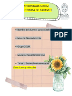 Desarrollo de Conceptos - Mercadotecnia