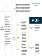 Sistema Endocrino