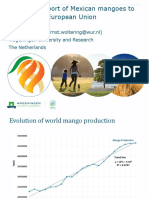2020 Mango Forum