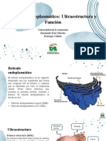 S13 Retículo Endoplasmático Ultraestructura y Función