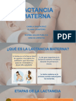 Lactancia Materna (2) Profesora