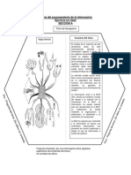 Ejercicio de Hexagrama Cap. 5.docx SECCION A YA CON TEMAS