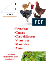 Nutrientes Necesarios para Aves