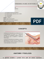 Reseccion Transuretral de Prostata (RTUP) - 1