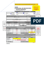 Modelo de Llenado de Formulario EE - FF - Inscrip PJ