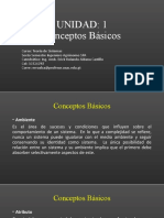 Conceptos Basicos TGS