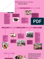 Linea Del Tiempo de Carnicos
