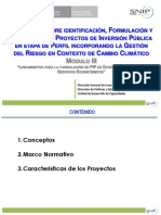 Lineamientos para Formulacion de PIP y Servicios Ecosistemicos