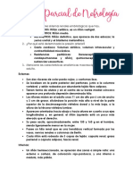 Guía 1er Parcial Nefro