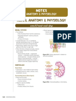 Renal Anatomy & Physiology: Notes