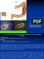 04. Patologia Intestinală. Manifestările Orale Ale Patologiilor Intestinale.