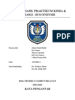 Laporan Praktikum Kimia & Biologi Eco Enzym v2