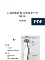 4. curs citit - Curs 2- Sd piramidal