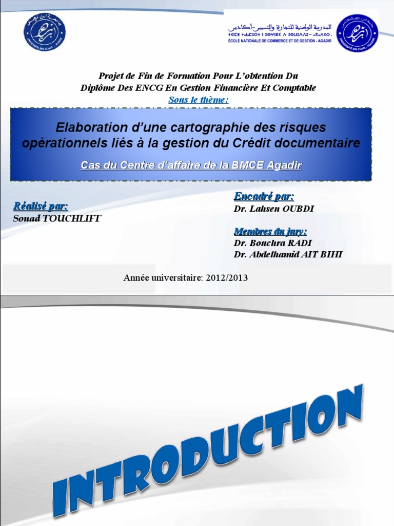 Cartographie Des Risques Opérationnels Liés À La Gestion Du | PDF ...