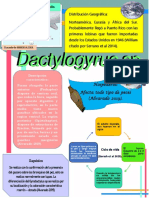 Dactylogyrus Y Dermatobia