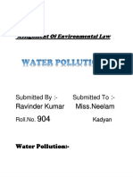 Assignment of Environmental Law Water Pollution