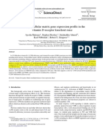 4.6 Heart Extracellular Matrix Gene Expression Profile