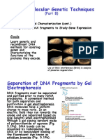 DNA Cloning and Sequencing Techniques