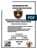 Trabajo Aplicativo de Proteccion de Los Derechos Del Niño, Niña y Adolescente Desde La Funcion Policial