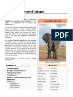 Éléphant de Savane D'afrique