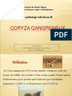 Coryza Gangreneux
