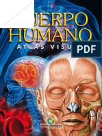 Cuerpo Humano. Atlas Visual - 2